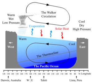 The West Pacific is typically warmer than the East Pacific.