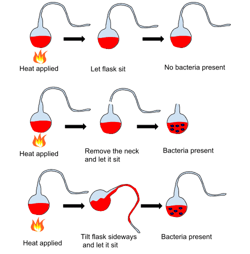 Louis Pasteur's pasteurization experiment illustrates the fact that the spoilage of liquid was caused by particles in the air rather than the air itself. These experiments were important pieces of evidence supporting the germ theory of disease.