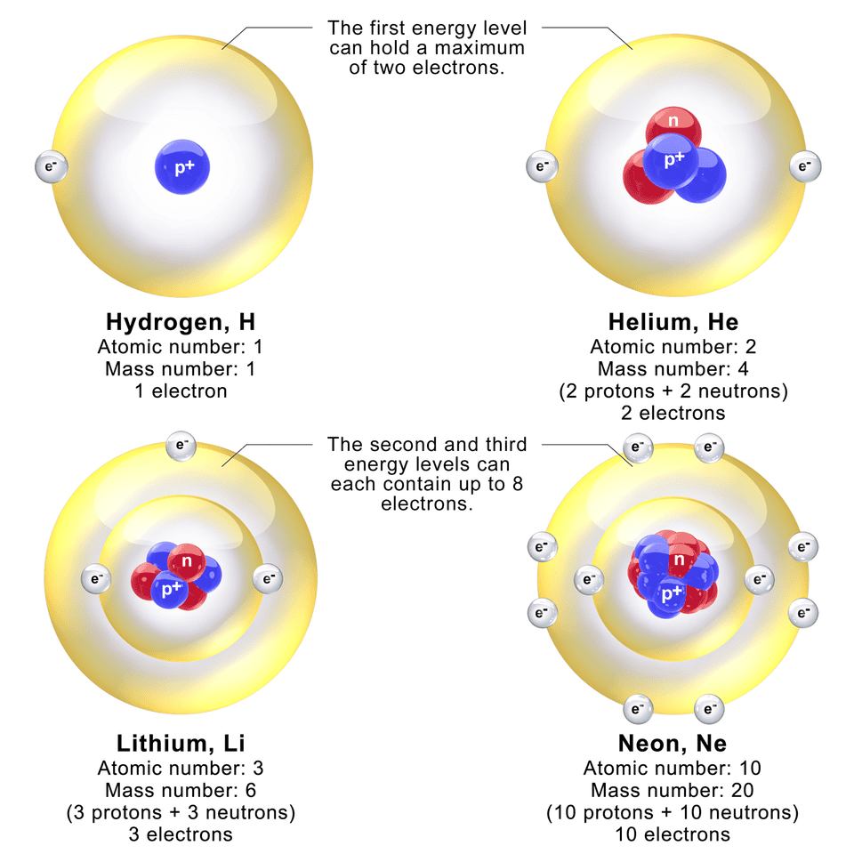 Models depicting the nucleus and electron energy levels in hydrogen, helium, lithium, and neon atoms