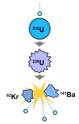 Nuclear fission caused by absorption of a neutron by uranium-235. The heavy nuclide fragments into lighter components and additional neutrons.