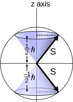 The Stern-Gerlach Experiment: How a Simple Test Revealed the Electron Spin 3 Diagram showing the possible spin angular momentum values for 1/2 spin particles (for example, electrons)