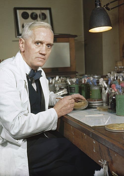 Alexander Fleming in his laboratory