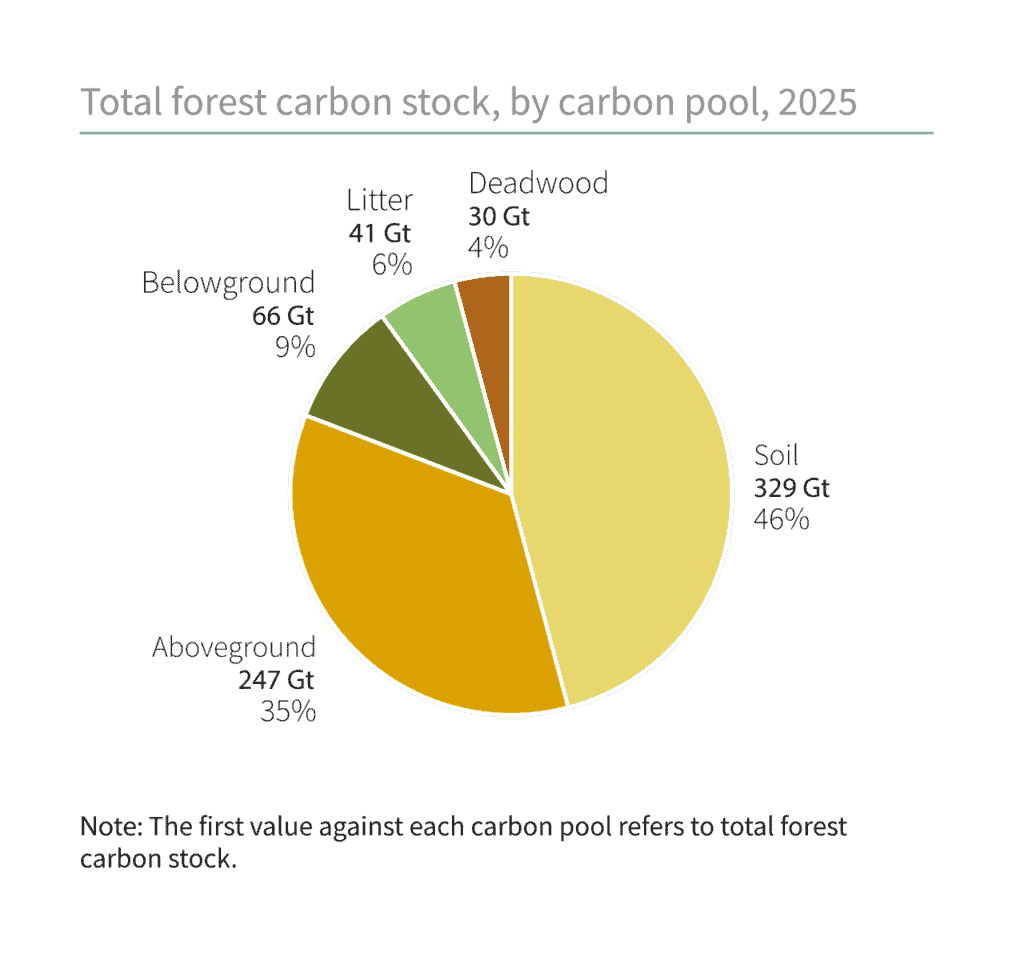 Forests and CO2 Emissions: How Climate Change Could Flip Earth's Carbon Sink 3 Total forest carbon stock, by carbon pool, 2025.